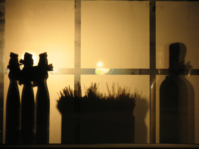 After a few months on display, they cook the spaghetti.