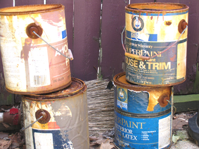 Okay, these are rotting outside my own building.