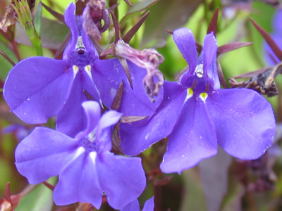 And now for something completely different.