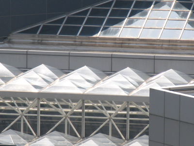 Over eons, buildings evolved pointy spines to protect them from predators.