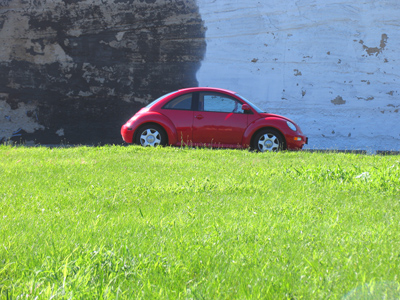 I hate walking through the crass cuz it`s always full of bugs.