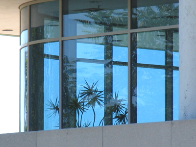 Captive houseplants held against their will.