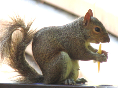 `I wanna thank you all for coming -- is this thing on?`