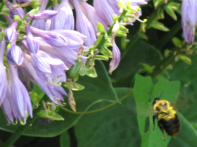 `Decisionzzzz, decisionzzzz . . . `