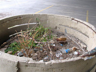 I guess this means I took the low way.