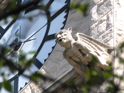 You`d BETTER like this one.  I risked my life on the highway taking this shot.