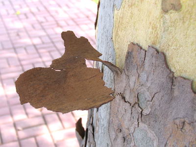 `Watch out for the sign.  Stop!  WATCH OUT FOR THE -- .`