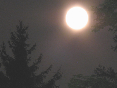 `It`ll be fun, you said.  It`ll be good exercise, you said.`