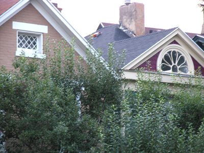 Attics can be addicting.