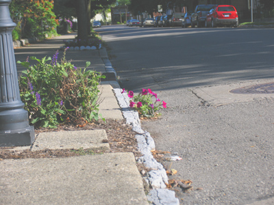 Hitch-hiking flowers.