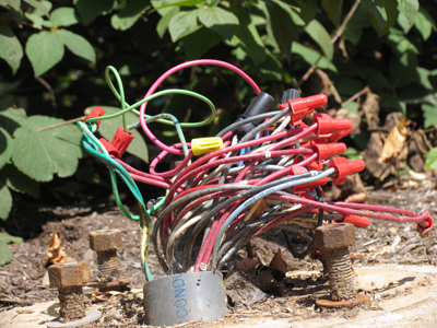 A little weed killer should take care of that.