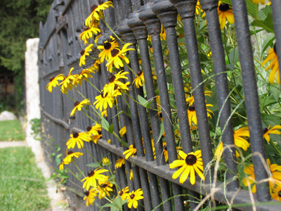 Put the petal to the metal.