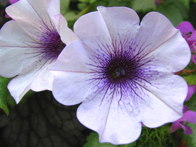 Yeah, sometimes my eyes feel that way too.