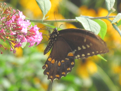 Look closely and I`m sure you`ll spot it.