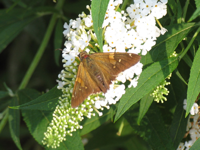 Have you figured it out yet?