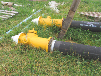 Fire hydrants in their larval state.