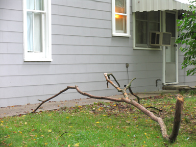 Silently - imperceptibly - while the family slept - it crept toward the house.