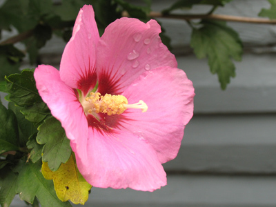 Who do we have to thank for this?