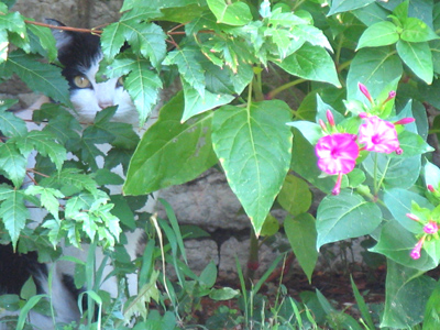 Somebody`s watching you.