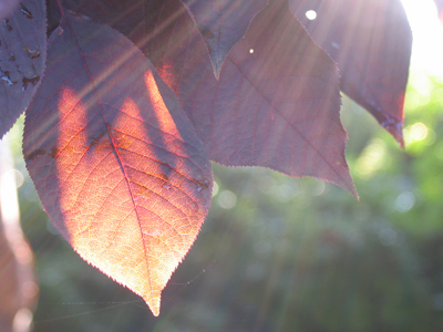 Did I mention it`s a sunny day?