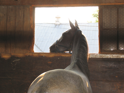 Day 1 of the Montgomery County fair.