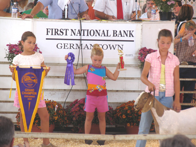 The fair ends with an auction where animals are adopted by loving families, ensuring them long, happy lives.