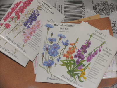 I wanted to get a head start on photographing next year`s flowers.