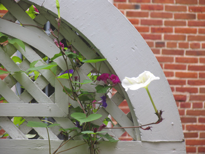 Thankfully, not everything we see is functional.