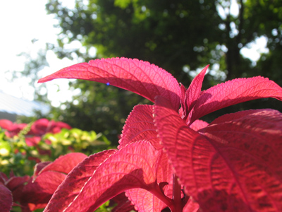 Morning has broken -- but I think it can be repaired.