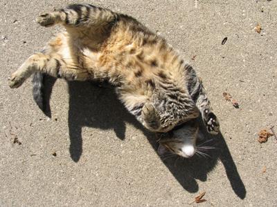 This one I actually had to TOUCH.