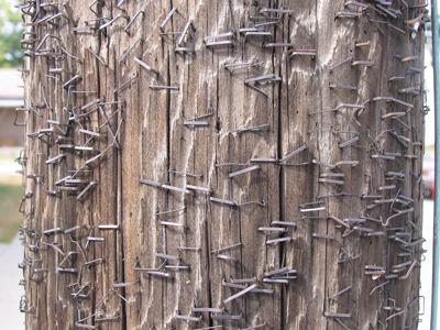 The remnants of many years of lost dogs, cookouts, parties and concerts.