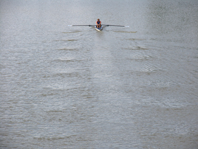 Should`ve taken the bus.