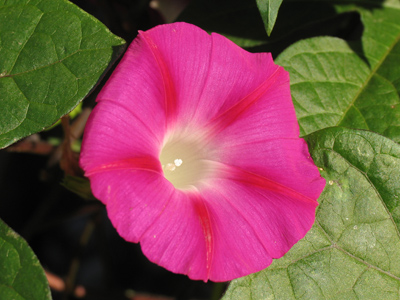 I never look that good this early in the morning.