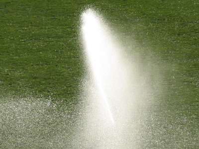 A sprinkle a day . . . 