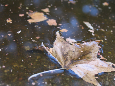 Say it with me fast:  gutter puddle, gutter puddle, gutter puddle . . . 