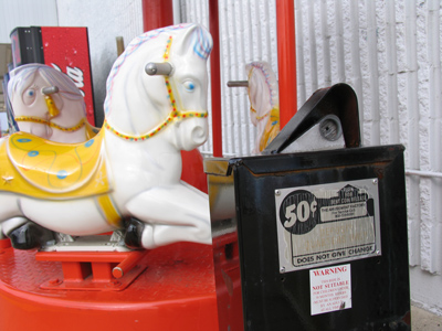 The horses were a little spooked by my flash.