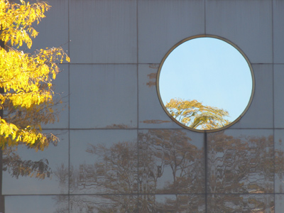 Again with the reflections.