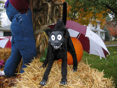 It`s raining cats . . . 