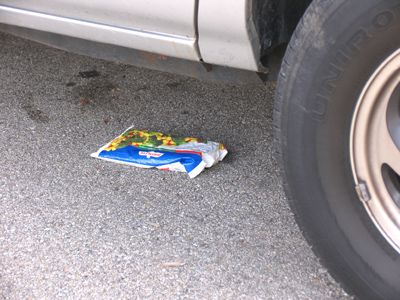 Sufferin` succotash!