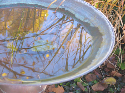 The Mirror of Galadriel.