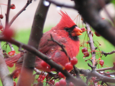 It`s a lot harder for them to hide from me when there aren`t any leaves on the trees.