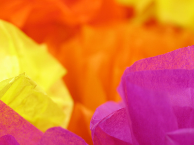 What it lacks in narrative content, it makes up for in color.