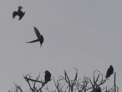 `No, Florida`s this way.`