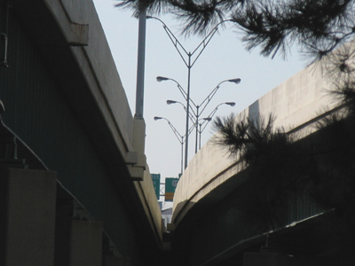 Two roads diverged in a yellow wood . . . 