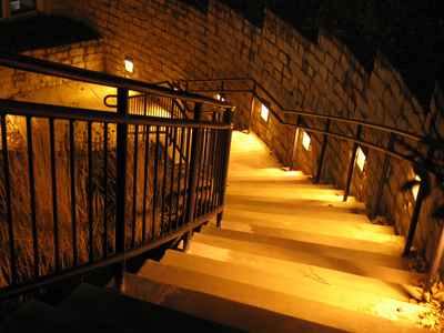 I learned to endure heat and bugs when taking pictures this summer, so maybe I can keep at it despite the cold.