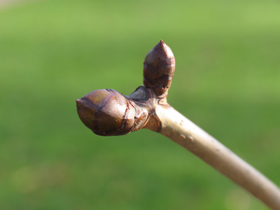 Planning ahead . . . 