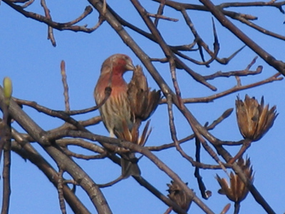 Some are nibblers . . . 