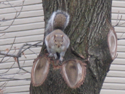 `Take one step closer and . . . I`ll run away.`