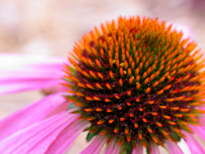 Another world exists at about knee level.