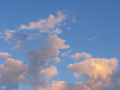 Travel safely to your Thanksgiving destination.